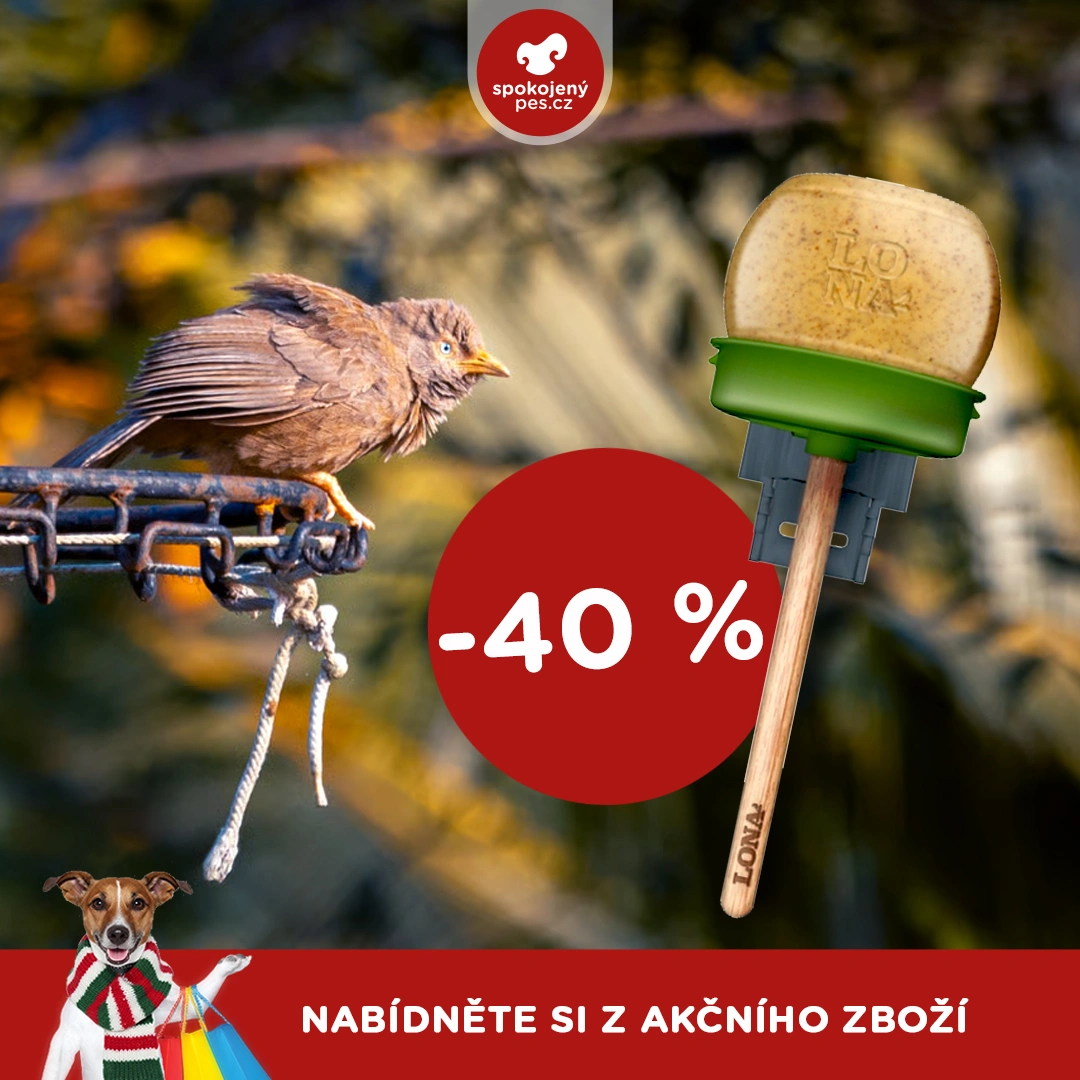 akční leden3_cz.webp